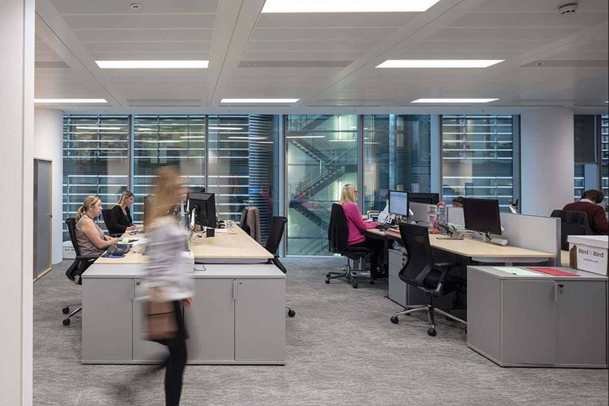 Bird & Bird — chapmanbdsp