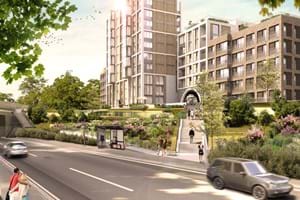 Mill Hill_Arney Fender Katsalidis_Meadow_02.jpg